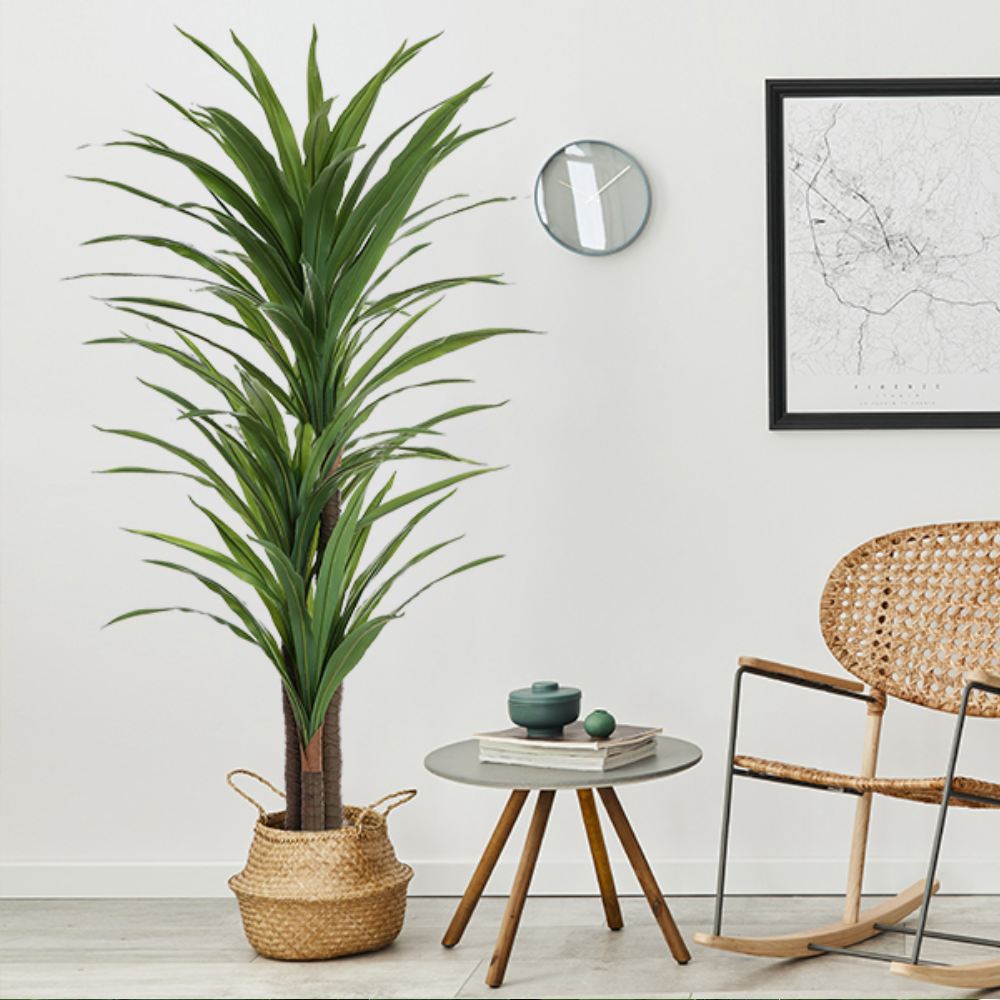 Artificial Dracaena Indoor Plant: image 3