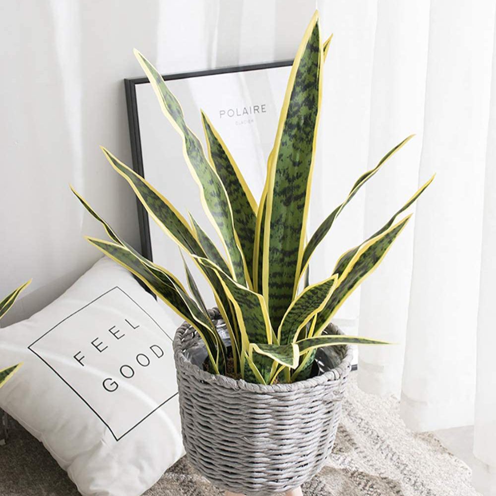 Artificial Snake Plant: image 5