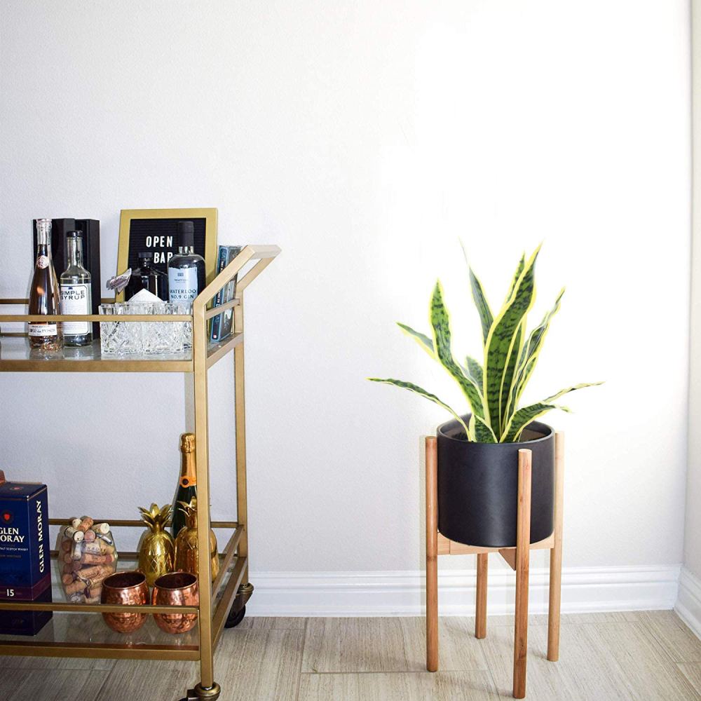 Artificial Snake Plant: image 6