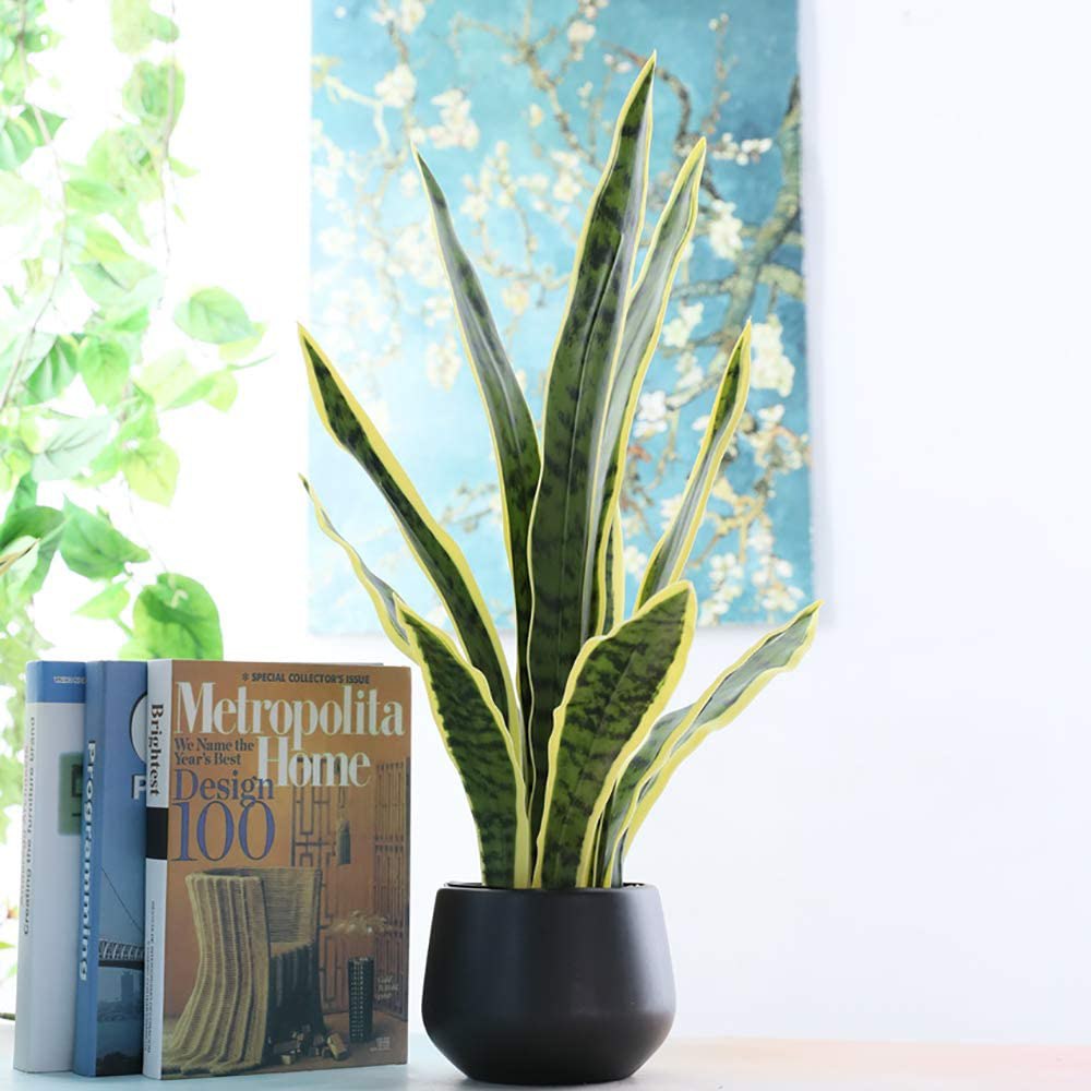 Artificial Snake Plant: image 7
