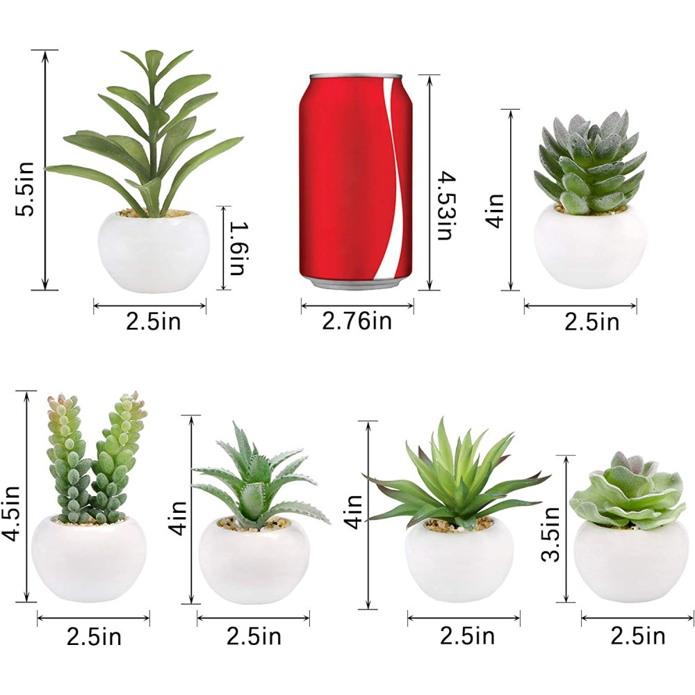 Artificial Succulent Plants: image 6